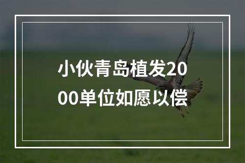 小伙青岛植发2000单位如愿以偿