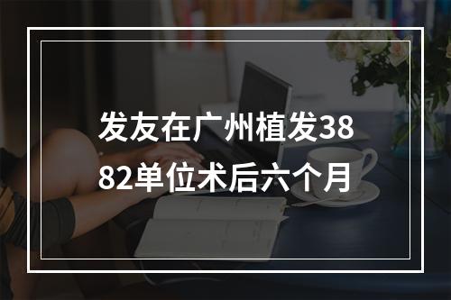 发友在广州植发3882单位术后六个月