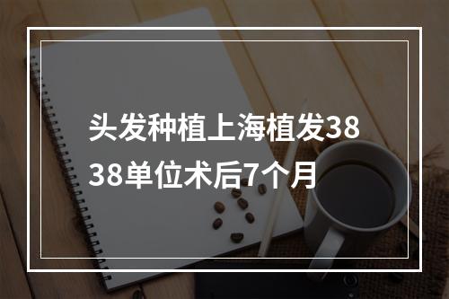 头发种植上海植发3838单位术后7个月