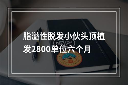 脂溢性脱发小伙头顶植发2800单位六个月