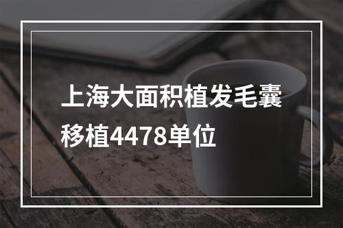 上海大面积植发毛囊移植4478单位