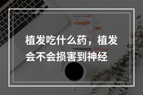 植发吃什么药，植发会不会损害到神经