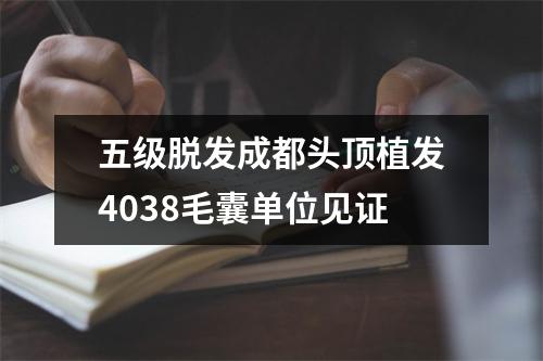 五级脱发成都头顶植发4038毛囊单位见证