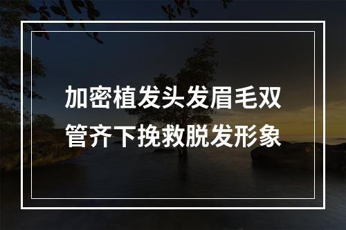 加密植发头发眉毛双管齐下挽救脱发形象