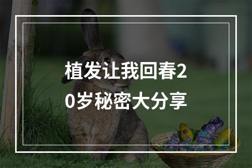 植发让我回春20岁秘密大分享