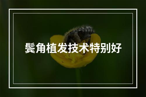 鬓角植发技术特别好