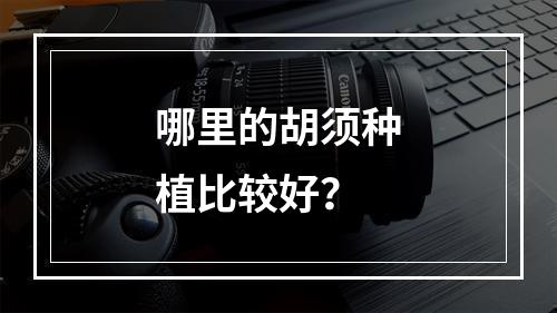 哪里的胡须种植比较好？