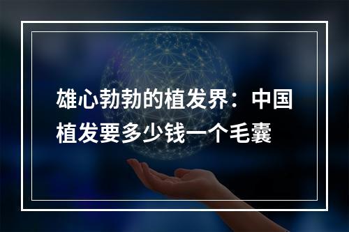 雄心勃勃的植发界：中国植发要多少钱一个毛囊