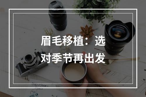 眉毛移植：选对季节再出发