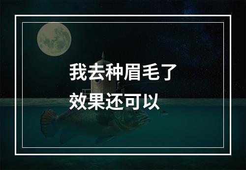 我去种眉毛了效果还可以