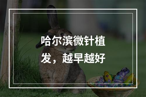 哈尔滨微针植发，越早越好