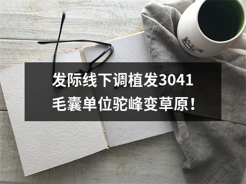 发际线下调植发3041毛囊单位驼峰变草原！