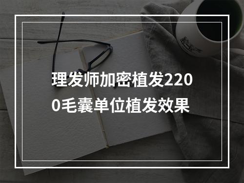 理发师加密植发2200毛囊单位植发效果