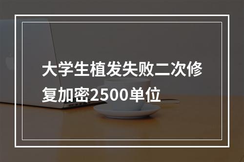 大学生植发失败二次修复加密2500单位