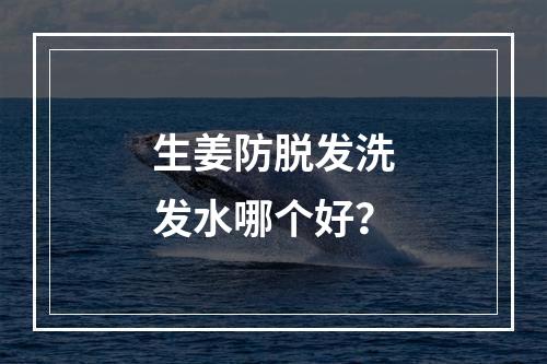 生姜防脱发洗发水哪个好？