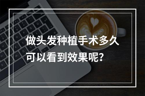 做头发种植手术多久可以看到效果呢？