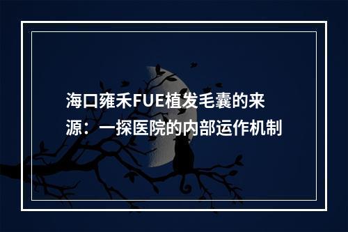 海口雍禾FUE植发毛囊的来源：一探医院的内部运作机制