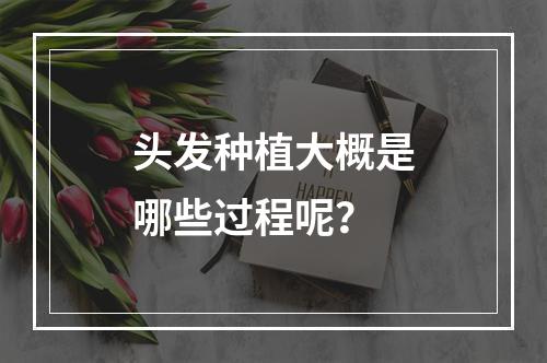 头发种植大概是哪些过程呢？