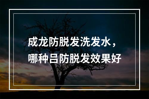 成龙防脱发洗发水，哪种吕防脱发效果好