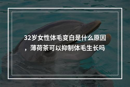 32岁女性体毛变白是什么原因，薄荷茶可以抑制体毛生长吗