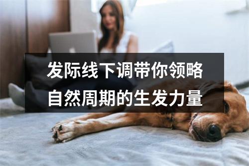 发际线下调带你领略自然周期的生发力量