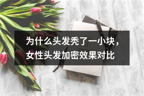 为什么头发秃了一小块，女性头发加密效果对比