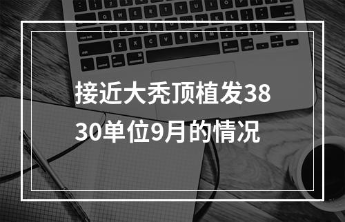 接近大秃顶植发3830单位9月的情况