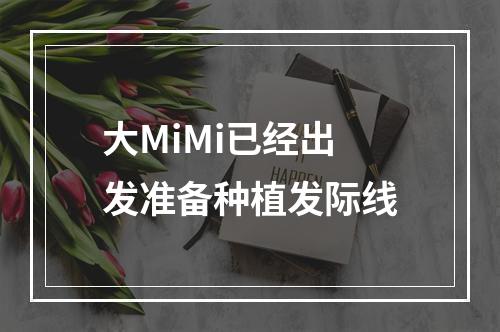 大MiMi已经出发准备种植发际线