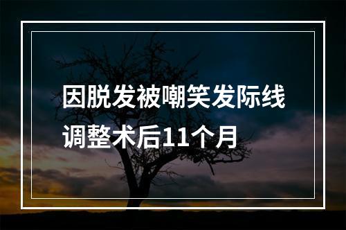 因脱发被嘲笑发际线调整术后11个月