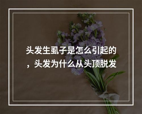 头发生虱子是怎么引起的，头发为什么从头顶脱发