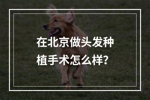 在北京做头发种植手术怎么样？