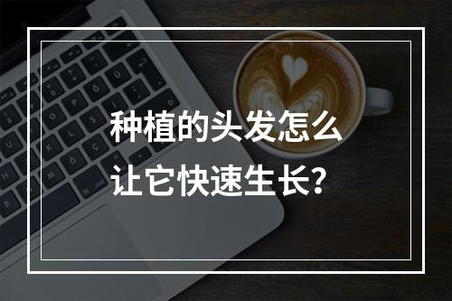 种植的头发怎么让它快速生长？