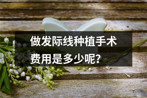 做发际线种植手术费用是多少呢？