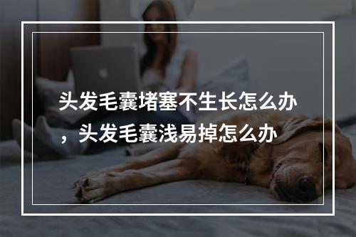 头发毛囊堵塞不生长怎么办，头发毛囊浅易掉怎么办