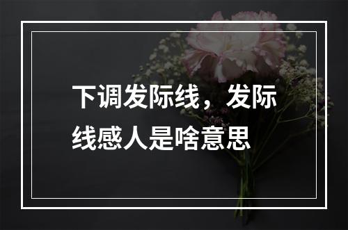 下调发际线，发际线感人是啥意思