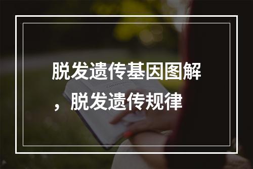 脱发遗传基因图解，脱发遗传规律