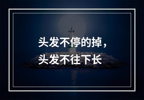 头发不停的掉，头发不往下长