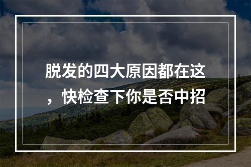 脱发的四大原因都在这，快检查下你是否中招