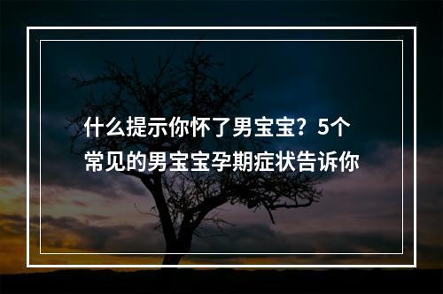 什么提示你怀了男宝宝？5个常见的男宝宝孕期症状告诉你