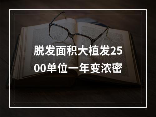 脱发面积大植发2500单位一年变浓密