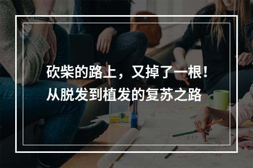 砍柴的路上，又掉了一根！从脱发到植发的复苏之路