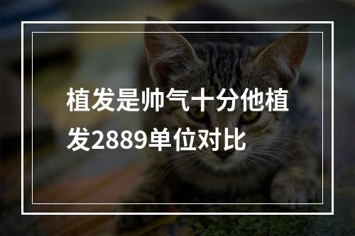 植发是帅气十分他植发2889单位对比