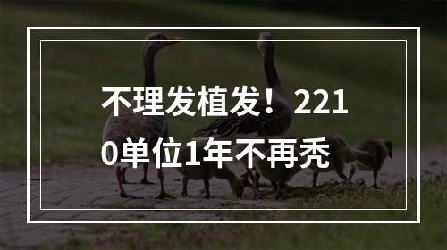 不理发植发！2210单位1年不再秃