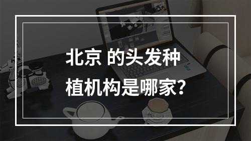 北京 的头发种植机构是哪家？