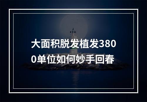 大面积脱发植发3800单位如何妙手回春