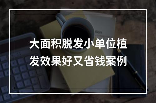 大面积脱发小单位植发效果好又省钱案例