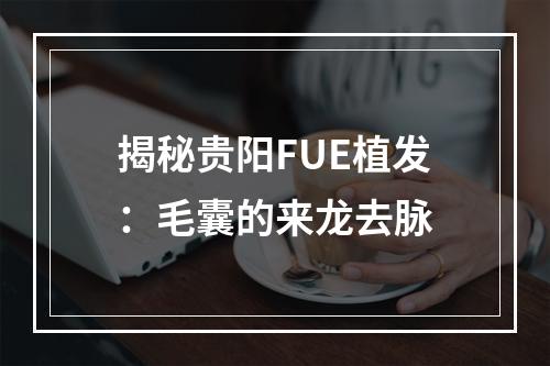 揭秘贵阳FUE植发：毛囊的来龙去脉