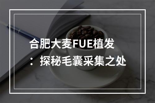 合肥大麦FUE植发：探秘毛囊采集之处