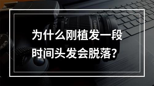 为什么刚植发一段时间头发会脱落？