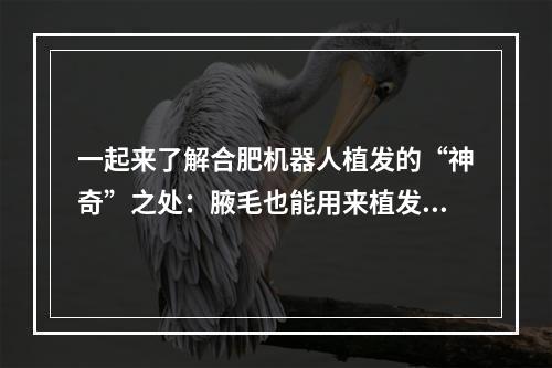 一起来了解合肥机器人植发的“神奇”之处：腋毛也能用来植发？！